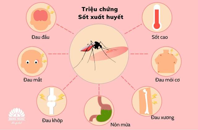 Sốt xuất huyết và những sai lầm cần tránh - Ảnh 2.